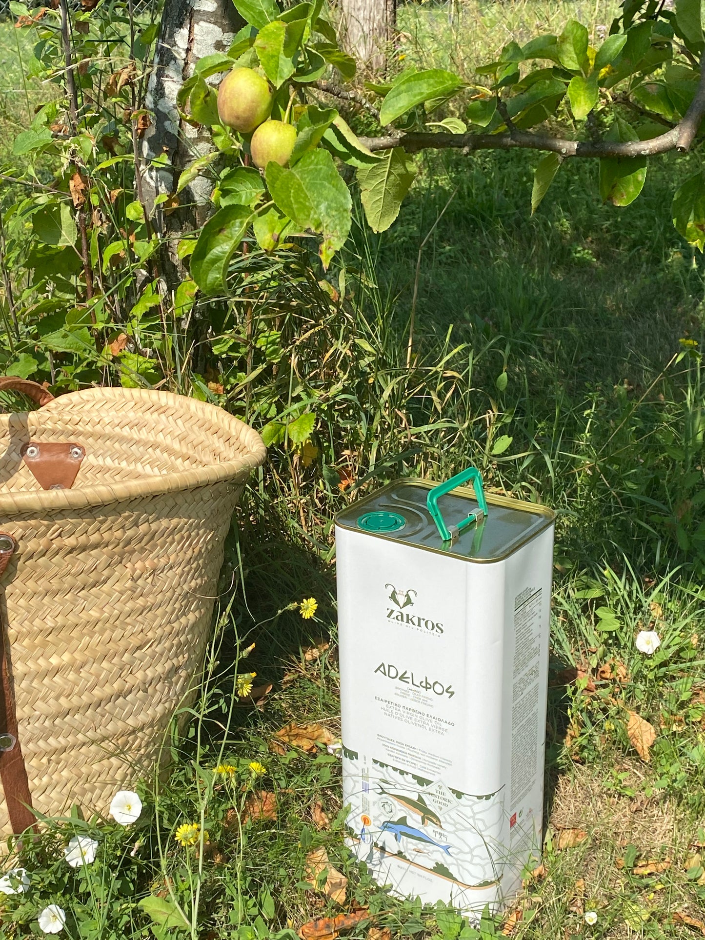 Huile Olive Extra Vierge / Bidon 5 L Métallique